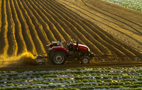 1658128357156473.png image.png