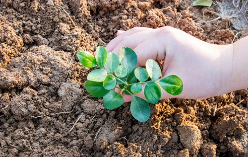 1661740952702086.png image.png