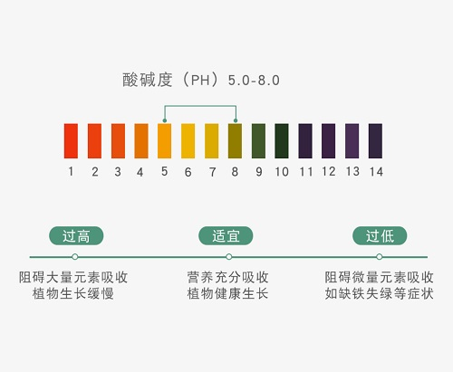 1662433955176351.png image.png