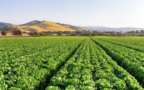 1665715991110263.png image.png