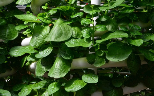 1666665601184109.png image.png