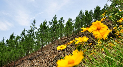 1666838209183243.png image.png