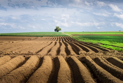 1667460438664306.png image.png