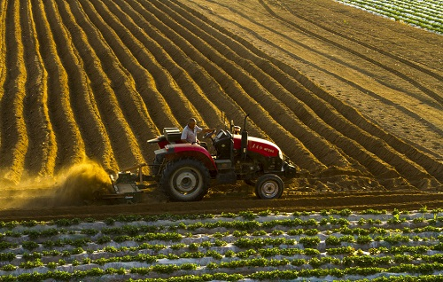 1669008527185902.png image.png