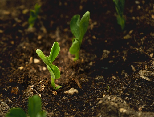 1669268280185870.png image.png