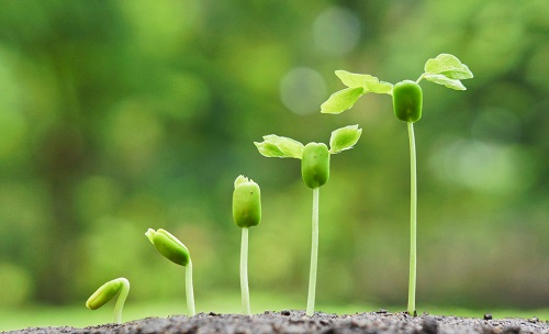 1669354964131902.png image.png