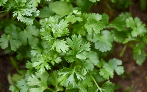 1670394834988119.png image.png