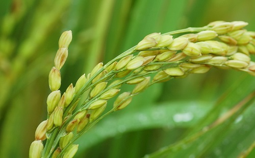 1674100628138573.png image.png