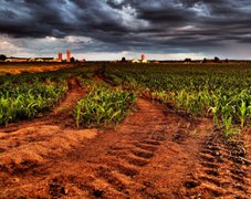 土壤農殘量用農藥殘留檢測設備檢測